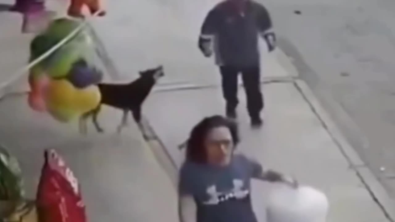 Funny video 🤣🤣😂