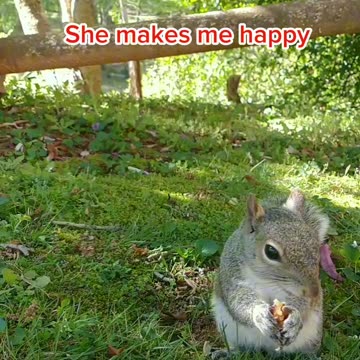 Mika is so cute and adorable 🐿️ love her much 🐿️💖