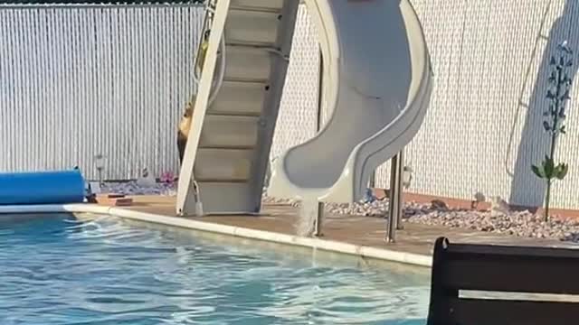 Funny man video