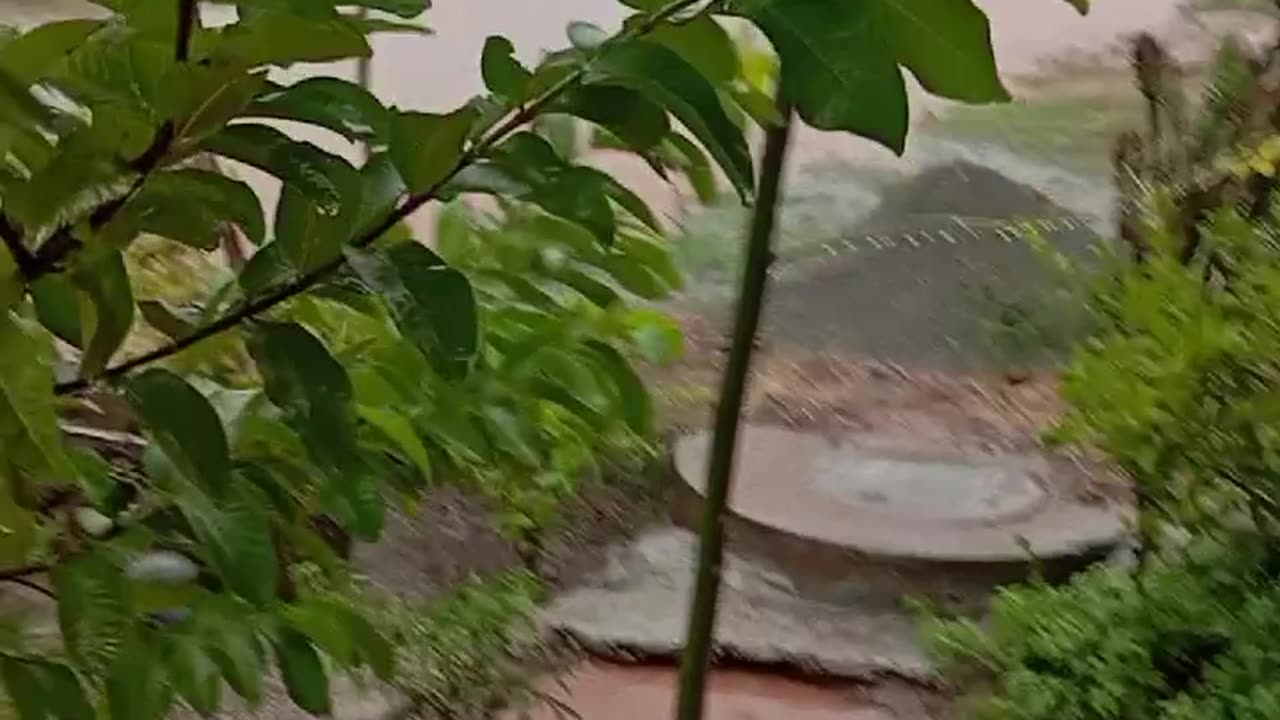 Beautiful rainy day Islamabad