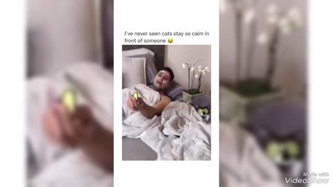 Dog & Cat Funny Video (Animals Funny videos)