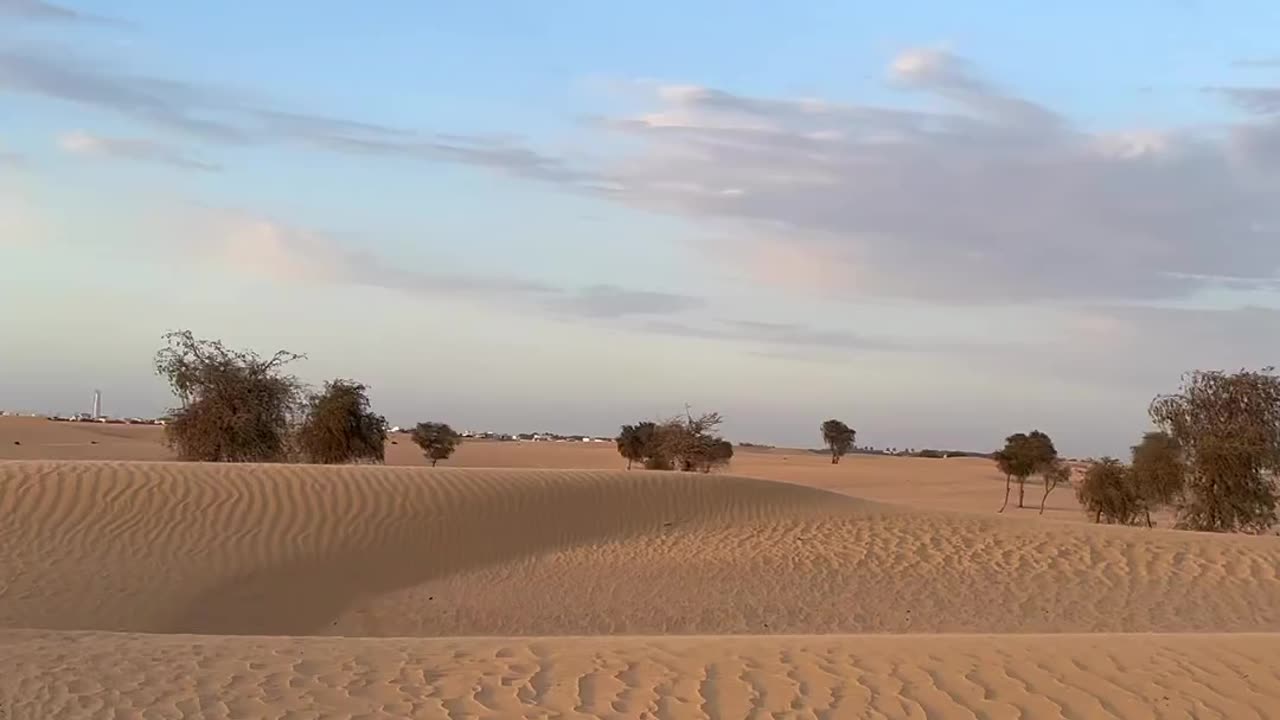 #dubai