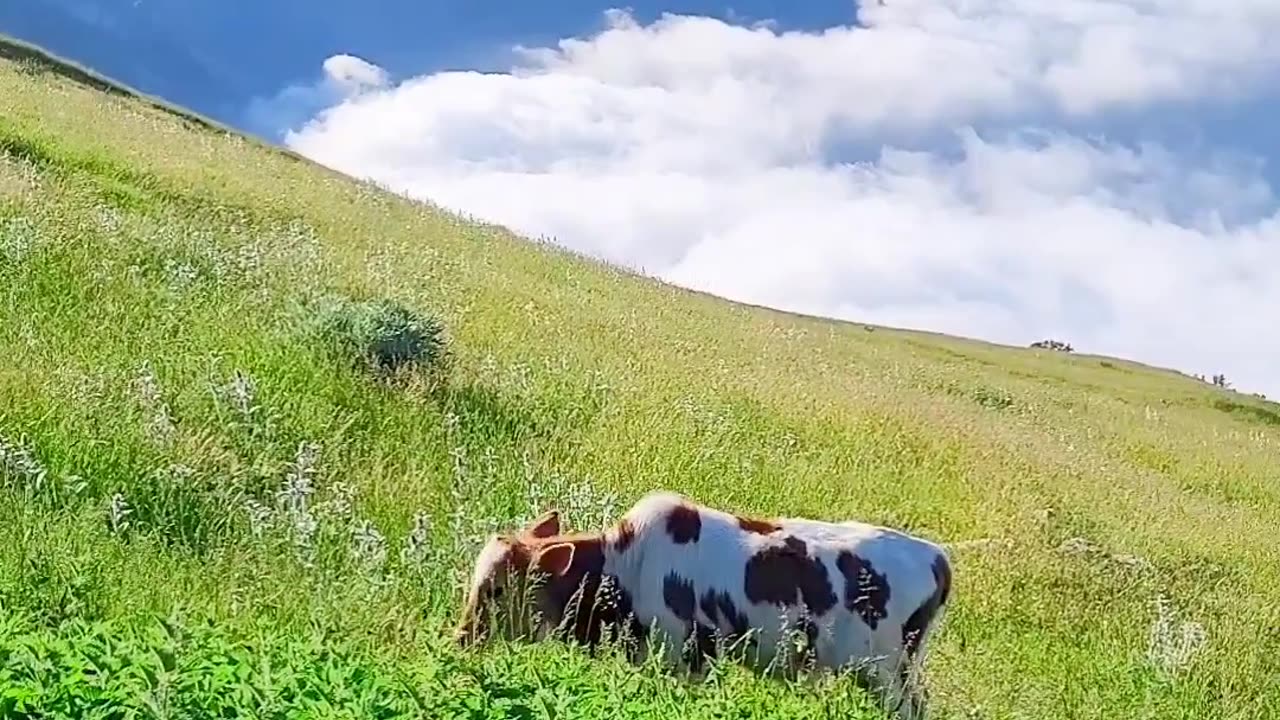 Iran,, gillan, roodbar, mountains