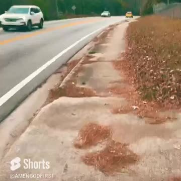 Motivational Morning