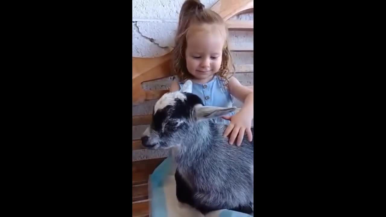 Little girl adorably cuddles with baby goat