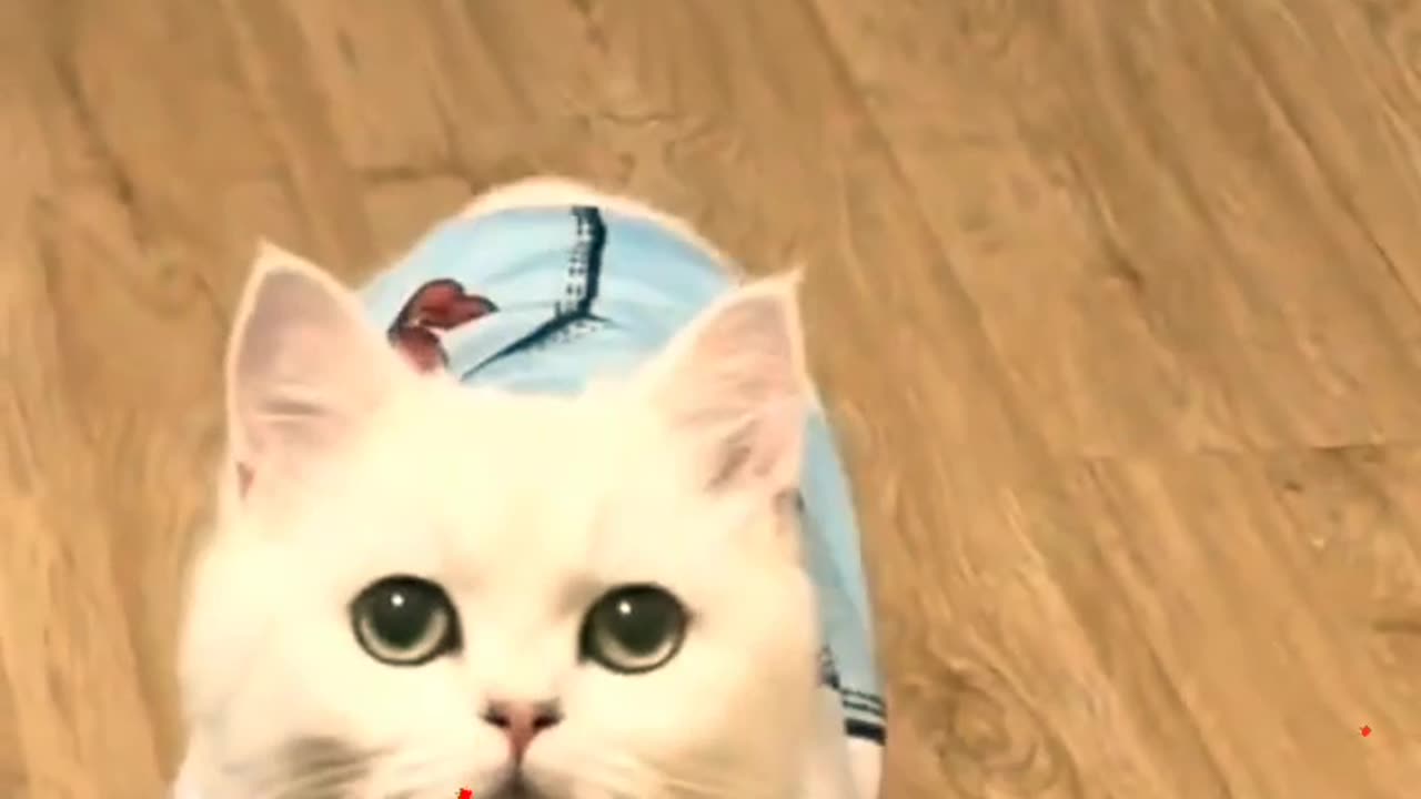 Your little cutie suddenly appeared. #cute #kitty #shortsvideo #animals #cat #shortsyoutube