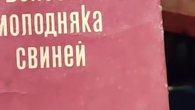 ‼️🏴 Квартира нацистов на Донбассе: "Были же нормальные люди, а потом перешли на идеи 3-го Рейха"