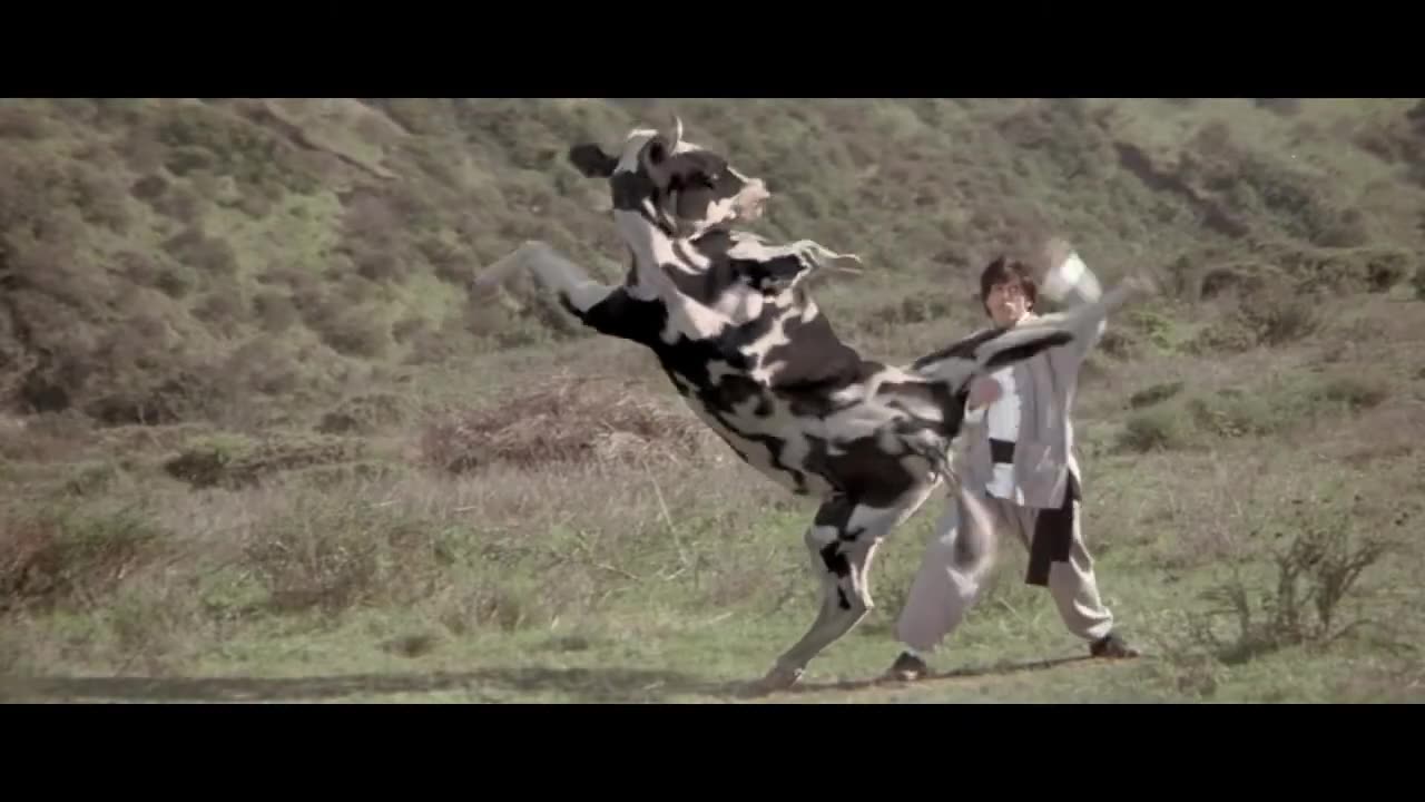 Cow Fight Kung Pow Enter the Fist Movie Clip