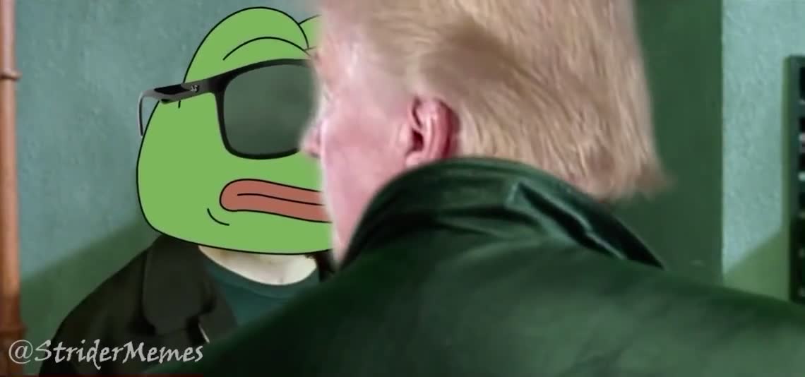 Trump Pepe and the Matrix