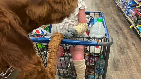 Nini & Charlie grocery shopping