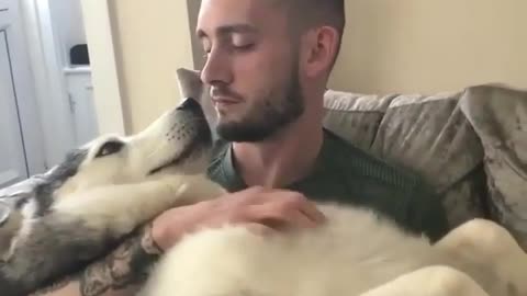 Human love for dog