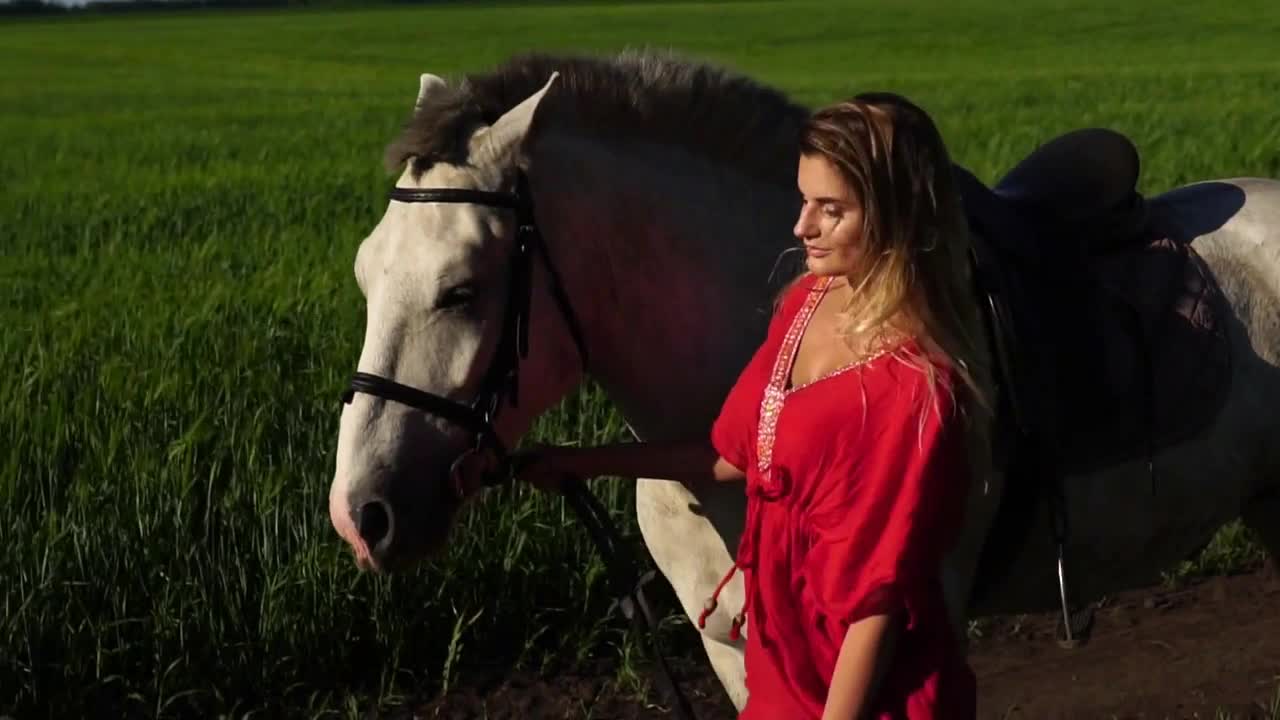 Young beautiful woman lead walk with a white horse on the green field