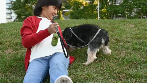 Cute puppy training