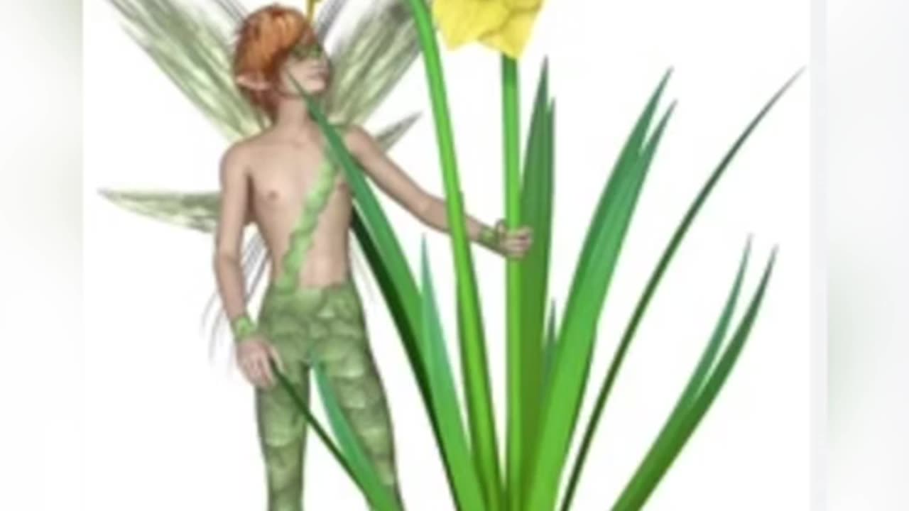 Fae Ferdinand’s Adventure Diary, Day 2