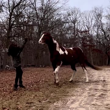 Who's the best dancer?