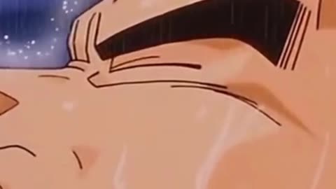 Vegeta Troubled