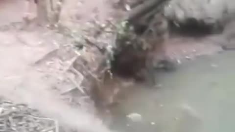 Jump In The Stream Fail