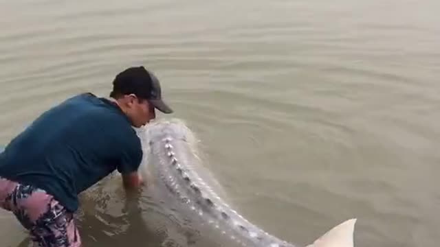 Then let him return to the sea