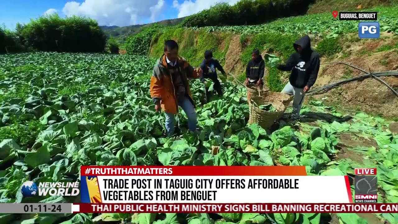 Trade post in Taguig City offers affordable vegetables from Benguet