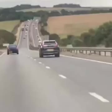 Englisch Lizards trying to be Faster than the Failure!