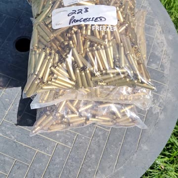 Ammo Shortage? What Ammo Shortage?