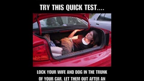 Random Memes 504