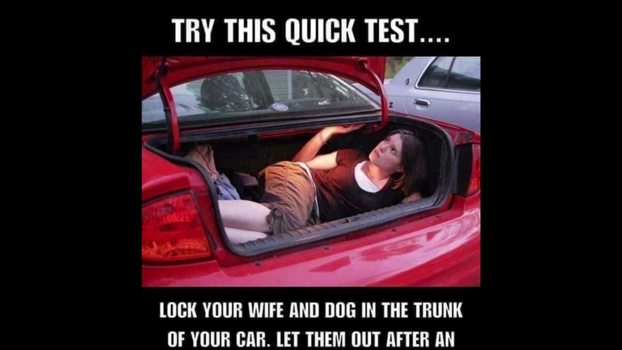 Random Memes 504