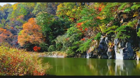 Relaxing Music | Sleeping, Meditation, Stress Relief | [1326] ⭐️