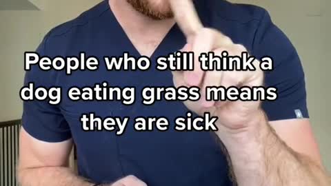 People who still think a dog eating grass meansthey are sick