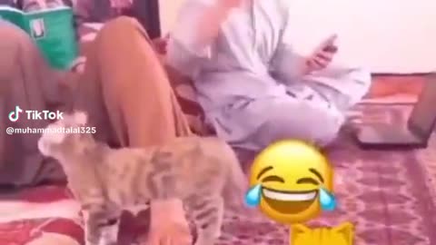 Funny