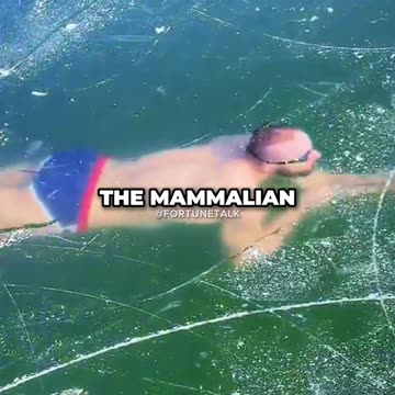 How To 10X Ice Bath Results ft. Andrew Huberman