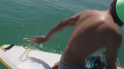 Giant Squid interaction with a surfer.