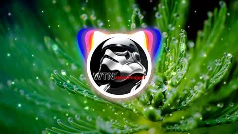 Sebas Gana - June - Free Background music - Musica sem Direitos Autorais - WTNationproject
