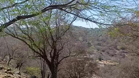 Mountain Scenery