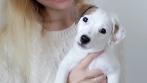 girl with a puppy in her arms at home