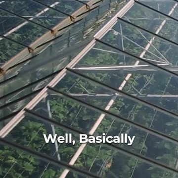 🏡 High Tunnel Vs. Greenhouse: Unveiling The Differences 🌱