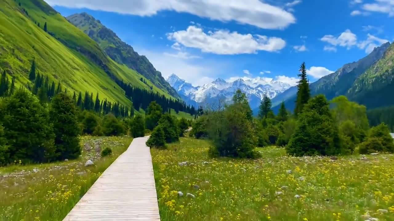 Trees in the mountains in the earth in the years in you in my how better 'world.