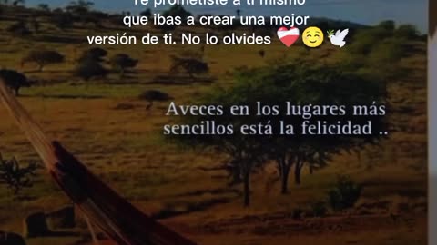 Frases Reflexión 🤍