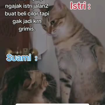 Husband is Afraid of Wife