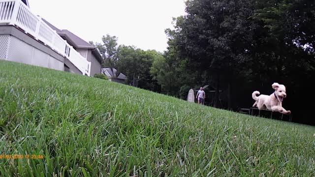 Bent Tree Baxter Strong1