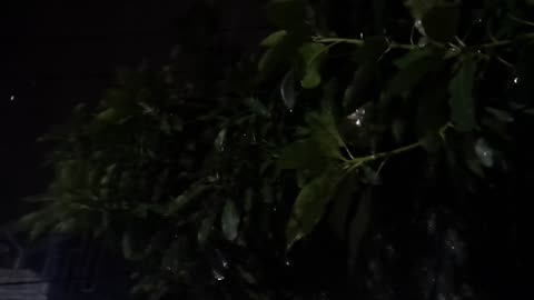 Rain sounds for sleeping, Heavy rain at night