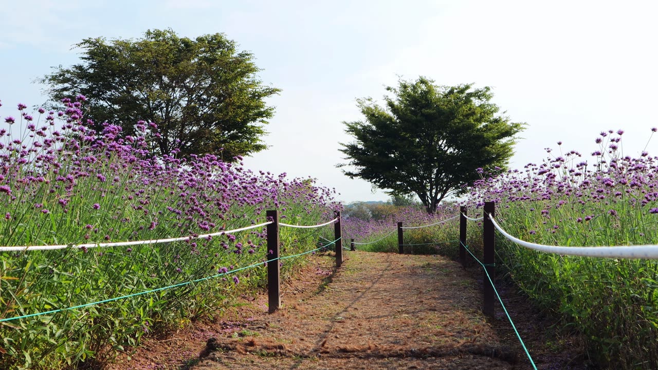 I go for a walk in nature before fall comes.