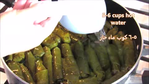 Jordanian stuffed grape leaves