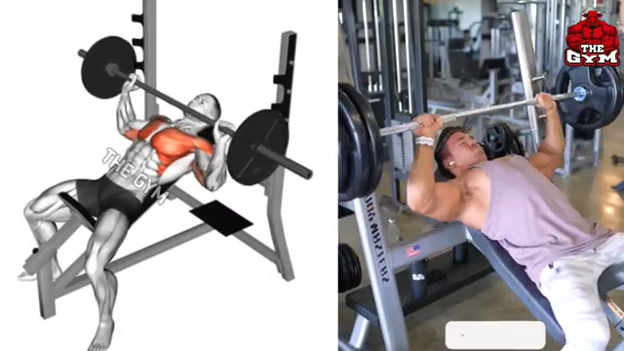 Chest workout