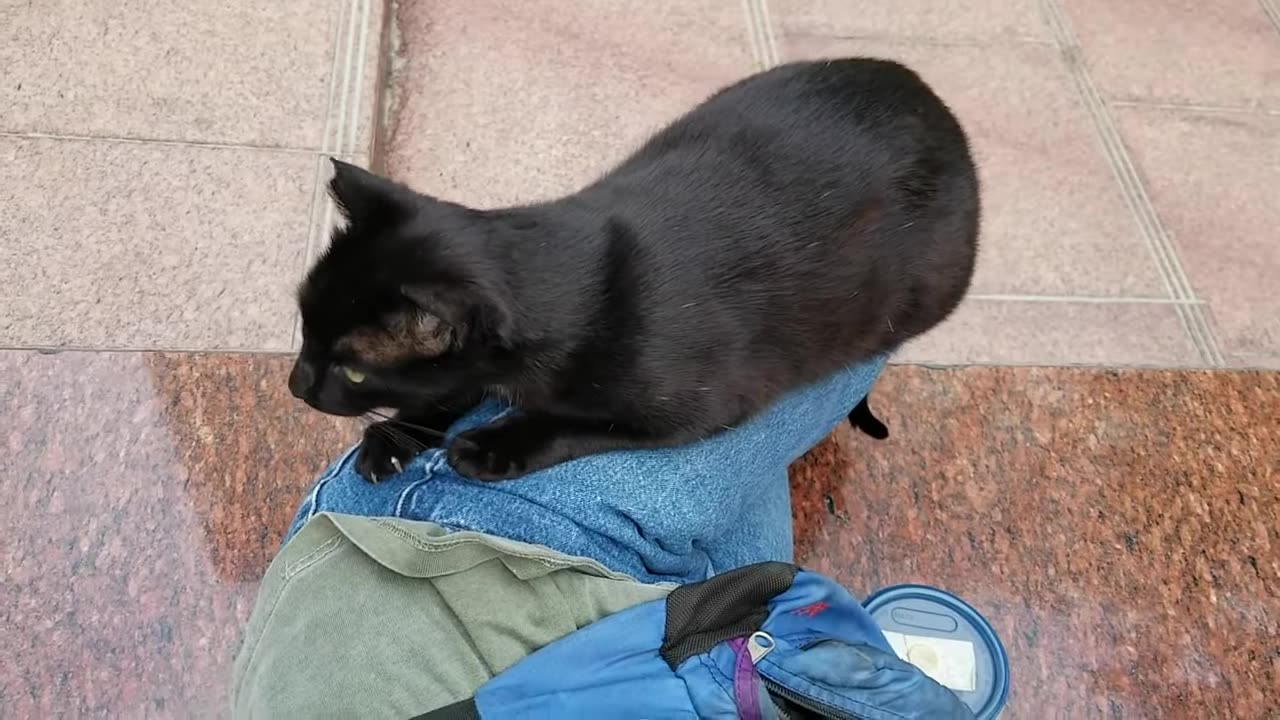 20240423 072650 Tux Resting On Leg