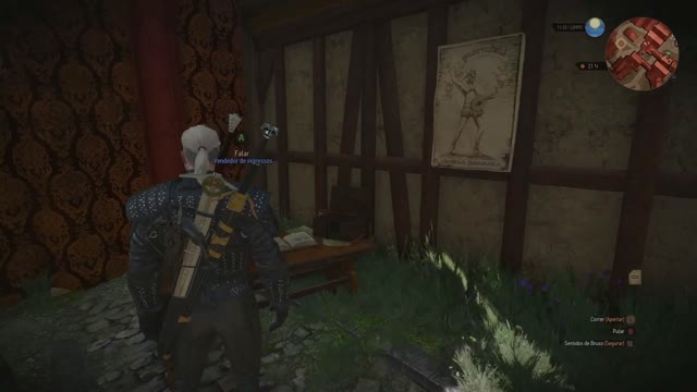 The Witcher 3 - Wild Hunt - 23 - A fuga dos Magos