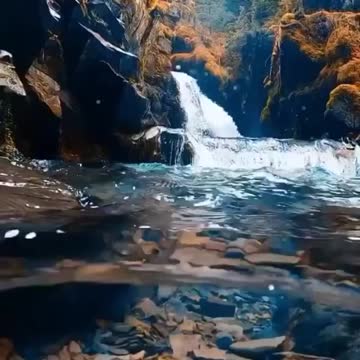 Liquid glass or water