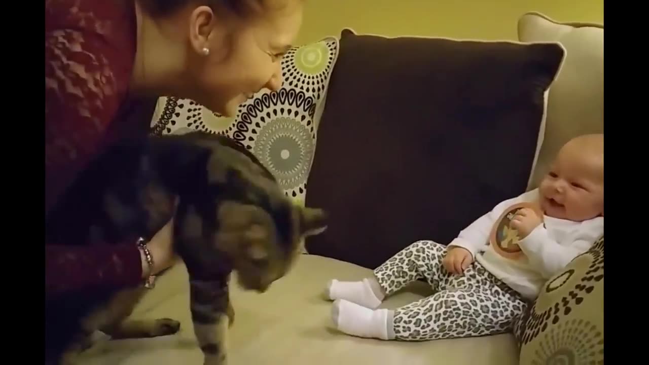 Cute baby and kittens