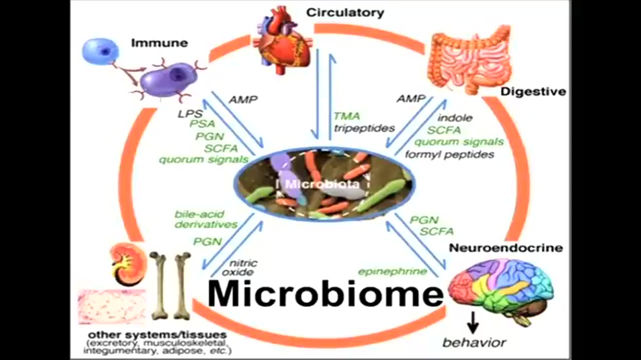 GMOs glyphosate food supply, IBD, IBS