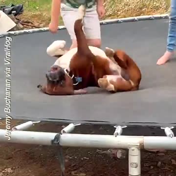 Anti-Loosh Video Number 219. LOOSH is real and bad. Explained below and watch the video